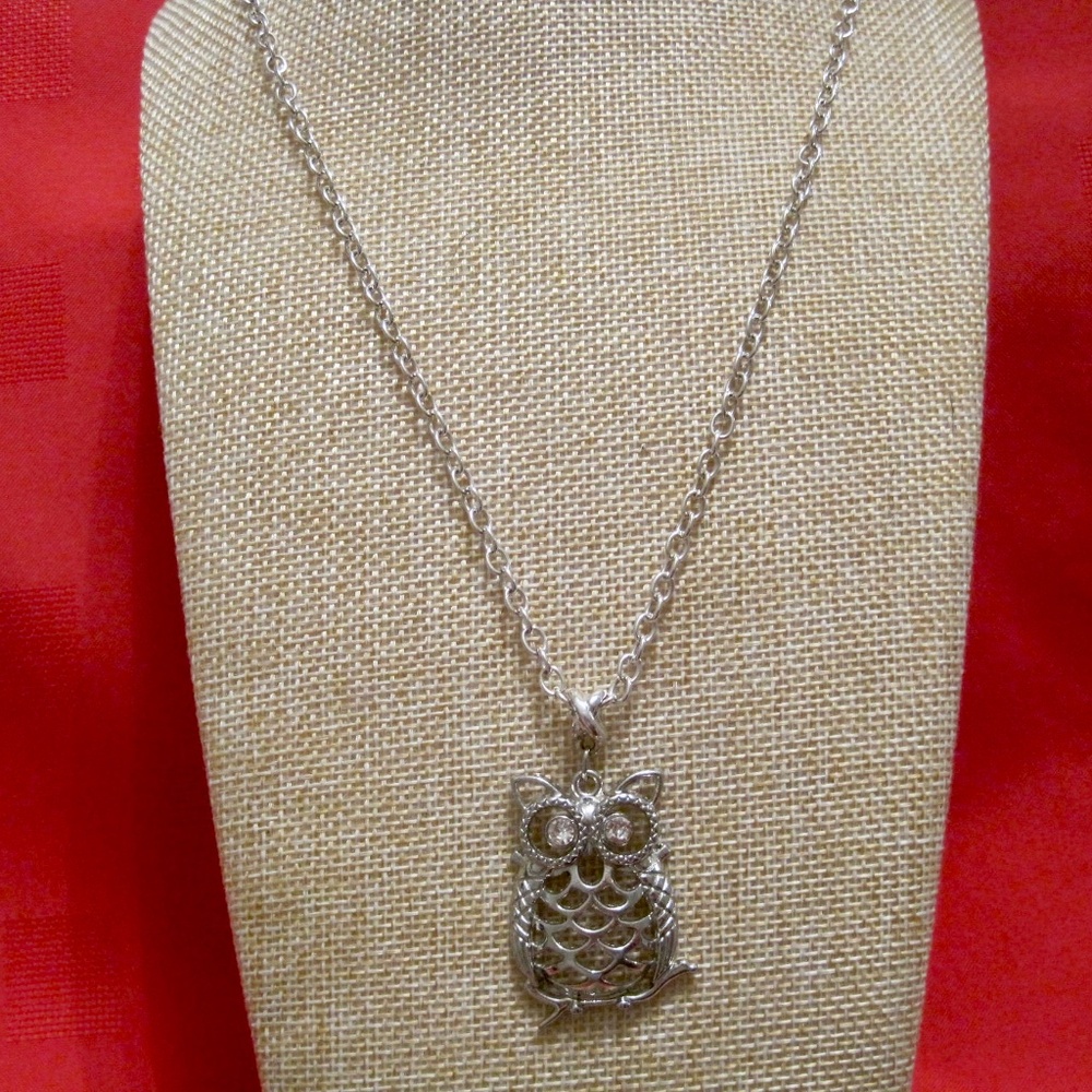 Owl Pendant and Chain Necklace in Silver Tone.